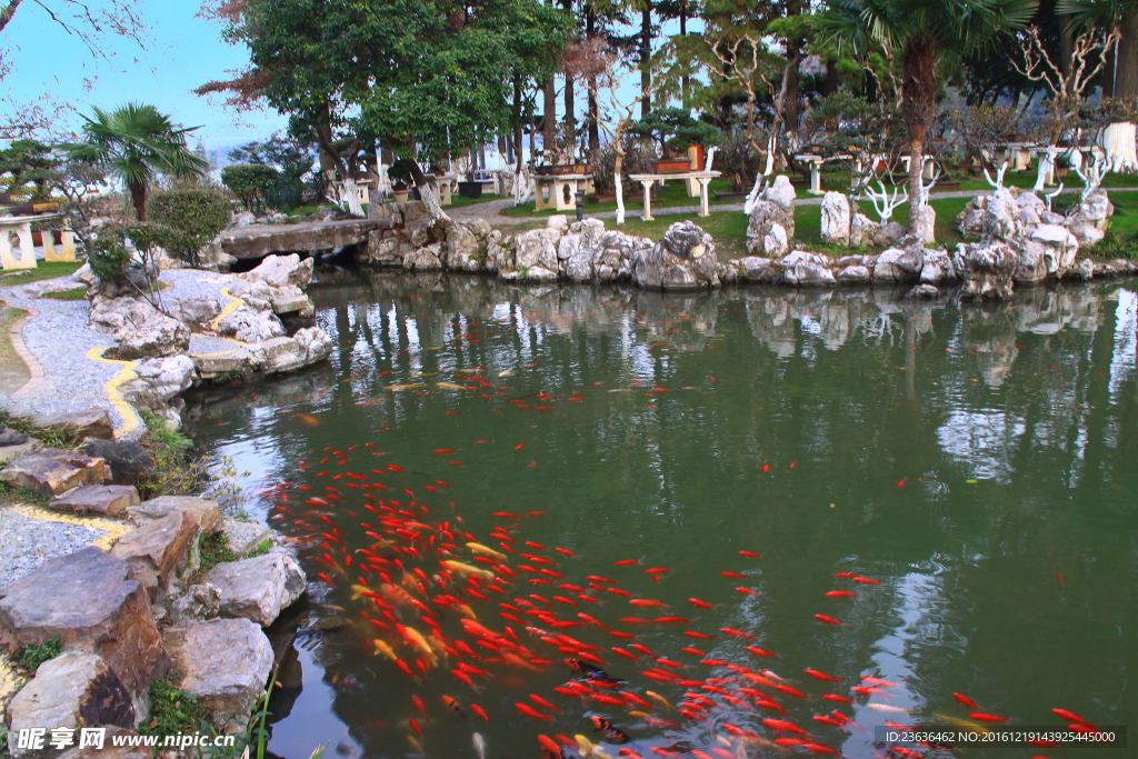 南京 玄武湖风光