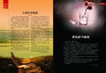 文章排版