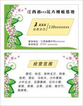 花卉名片