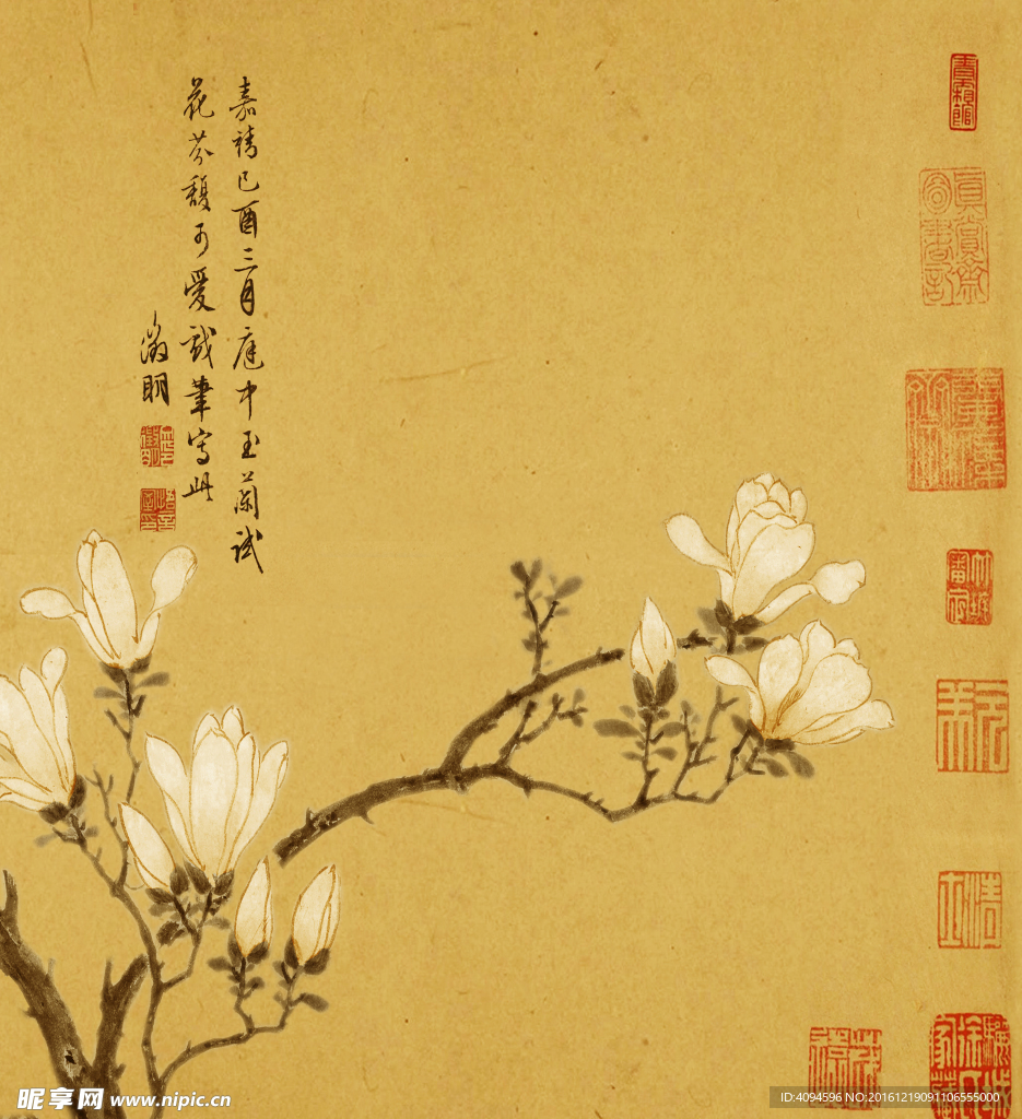 玉兰花壁画