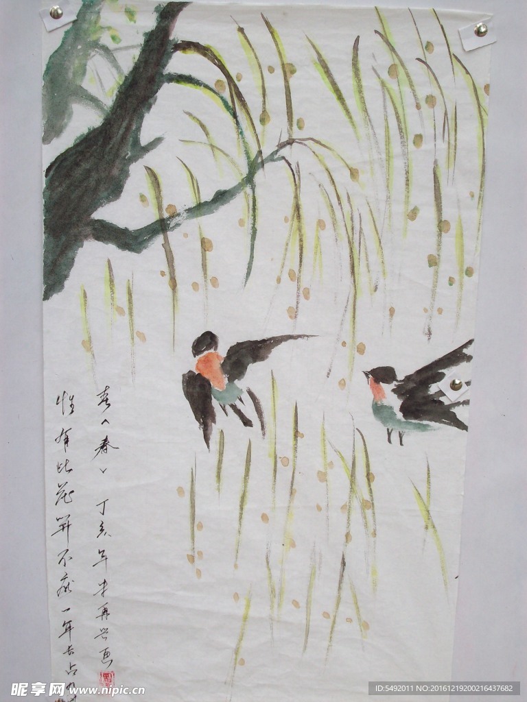 燕子水彩画