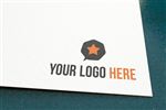logo样机