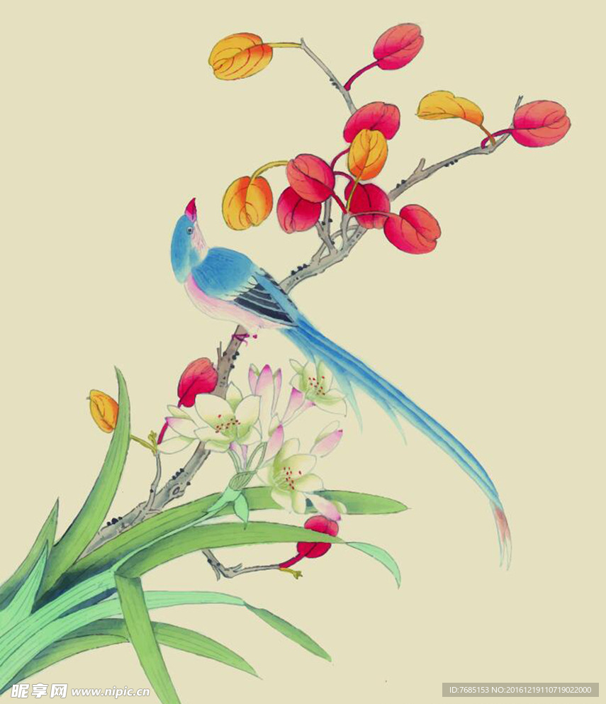 中国风水彩花鸟