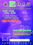 减肥终点站