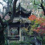 西湖红叶和亭子