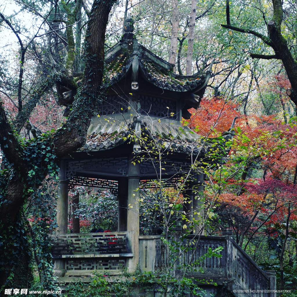 西湖红叶和亭子