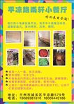 小饭桌彩页