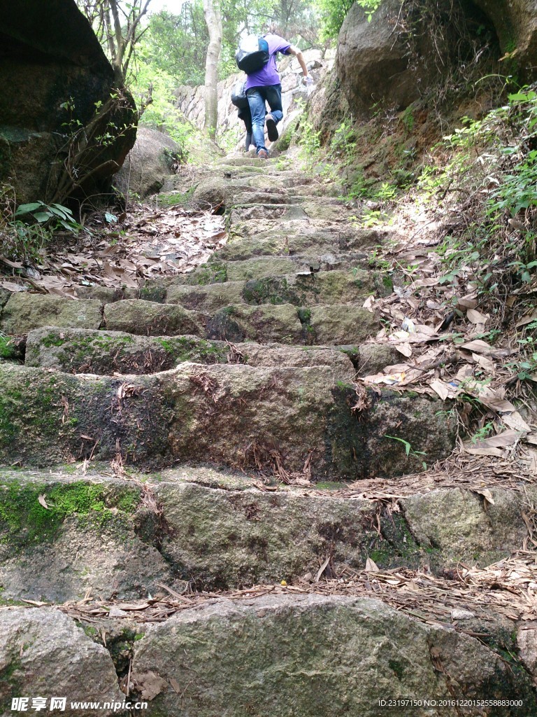 山路