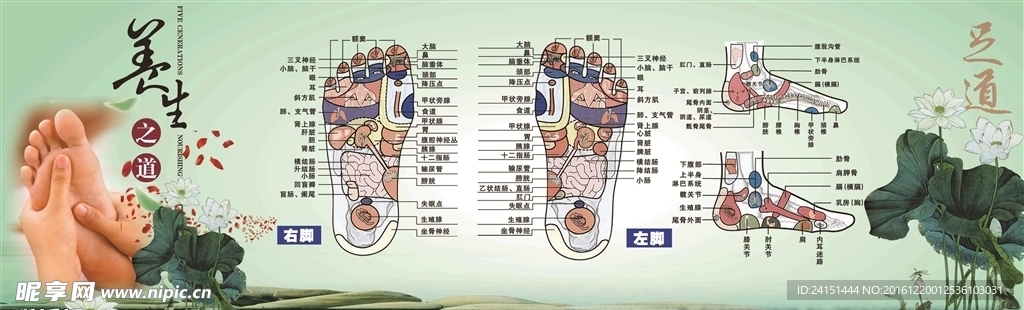 足疗穴位按摩图