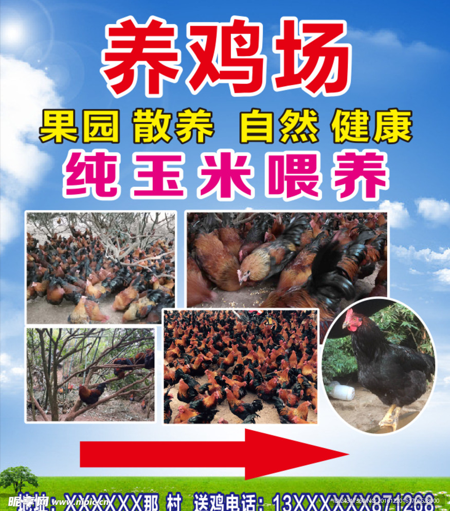 养鸡场