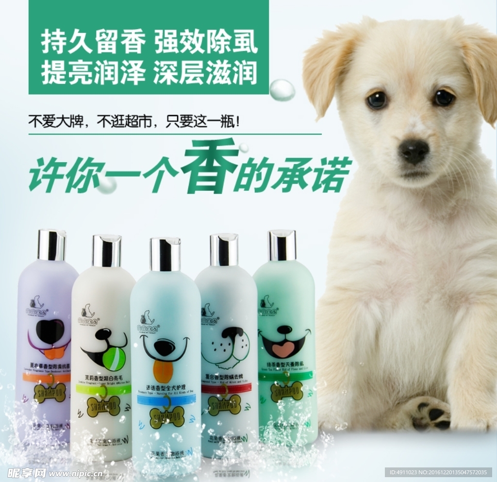 狗狗杀菌留香沐浴露主图设计