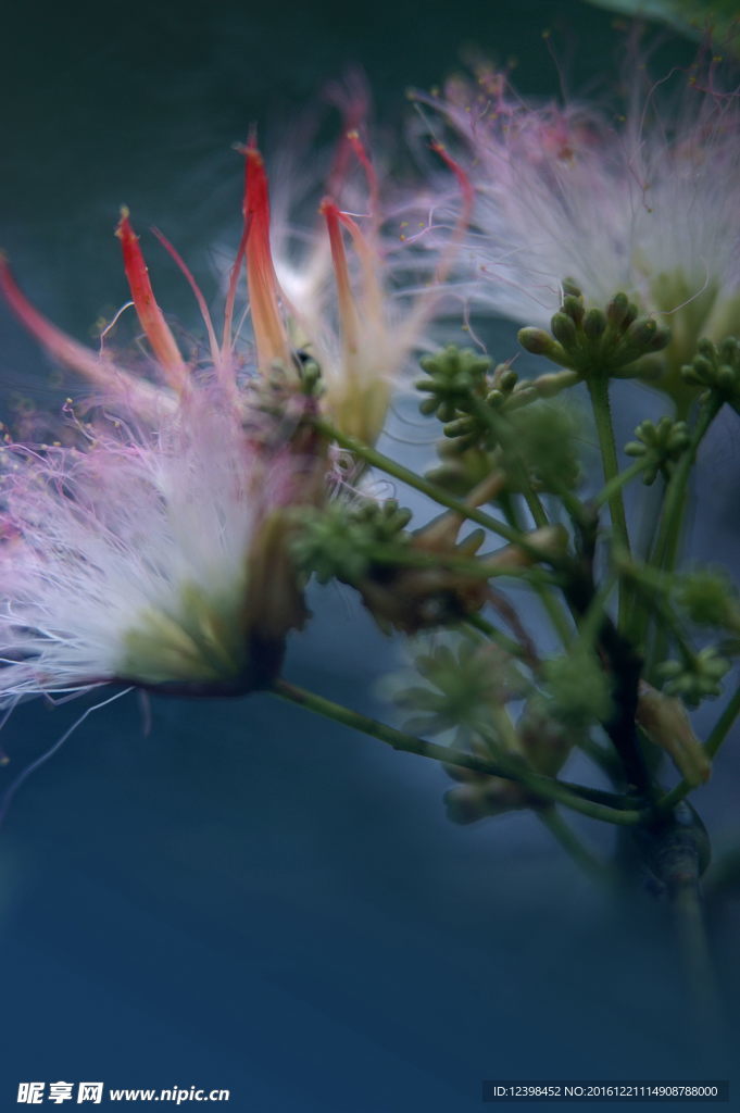 绒线花