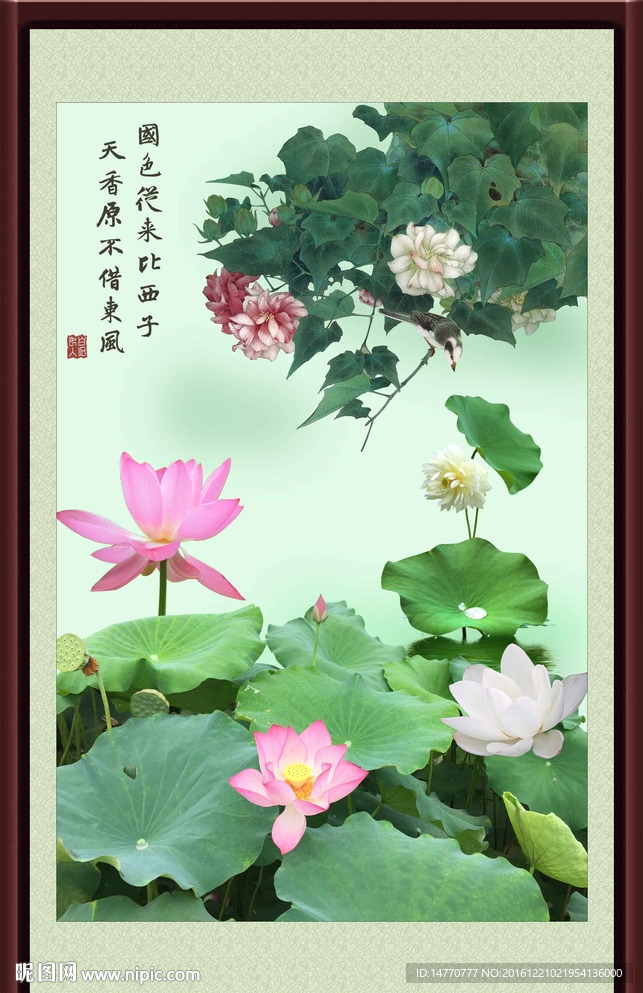 荷花图