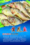 黄花鱼海报