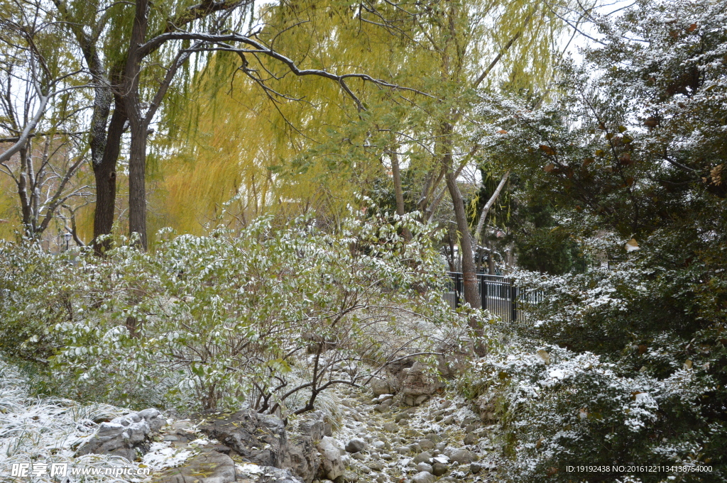 初雪陶然亭