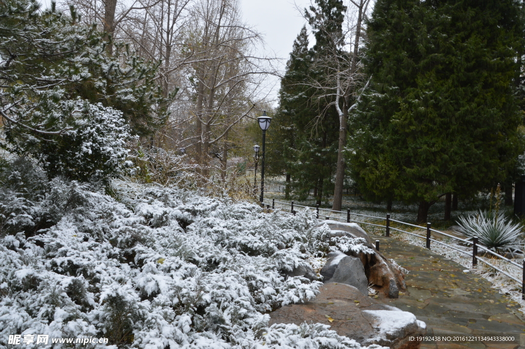 初雪陶然亭