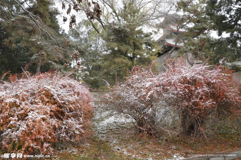 初雪陶然亭