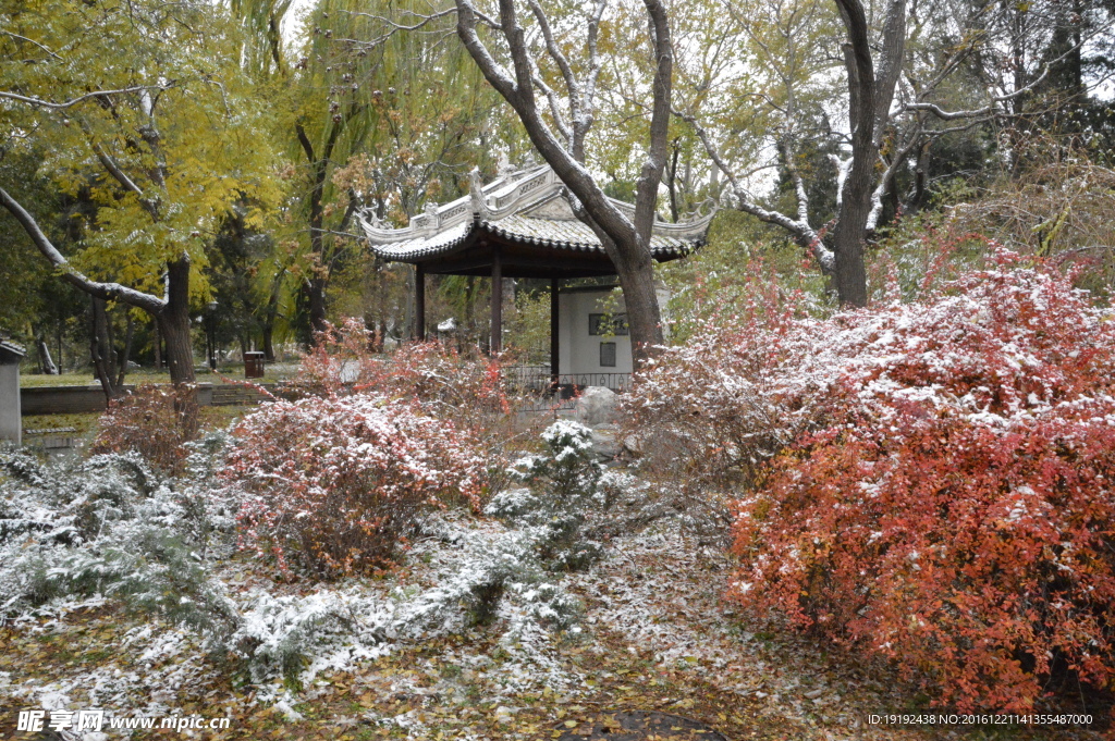 初雪陶然亭