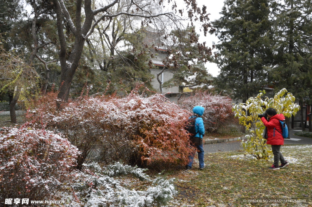 初雪陶然亭