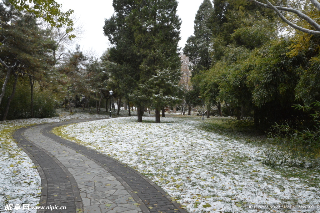 初雪陶然亭