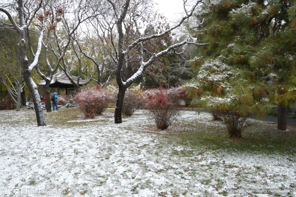 初雪陶然亭