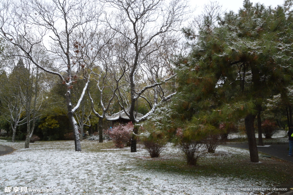 初雪陶然亭