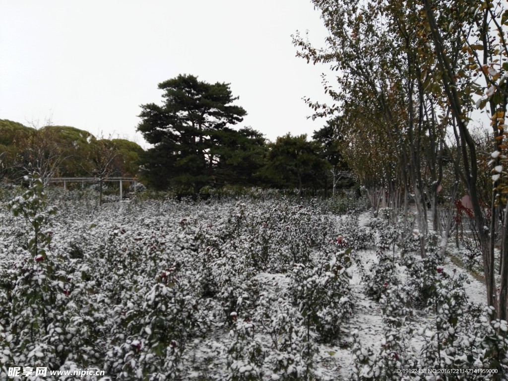 初雪陶然亭