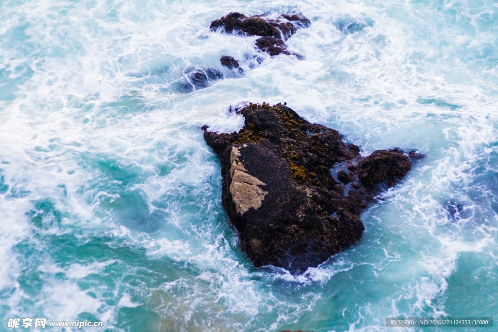 海