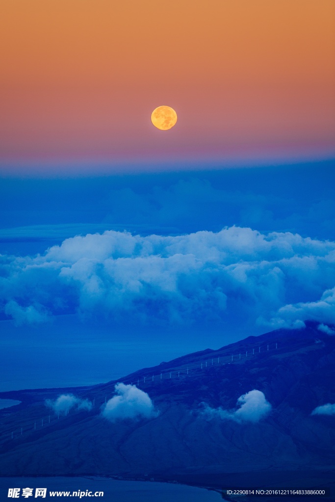 山