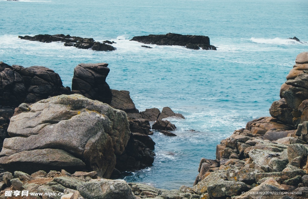 海