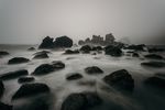 海