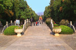 南京明孝陵