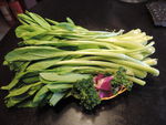 油菜