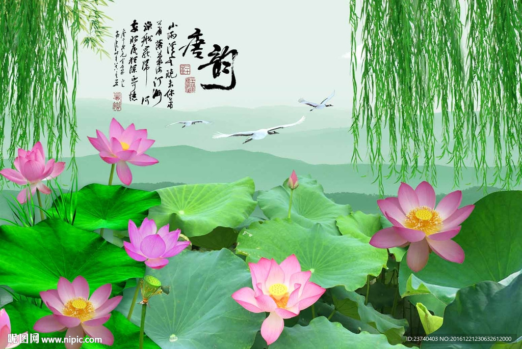 中式荷花背景墙