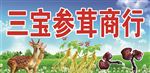 三宝参茸商行