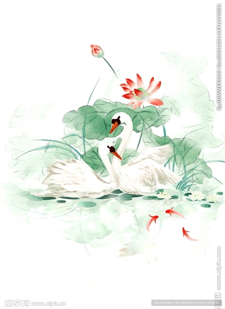手绘天鹅