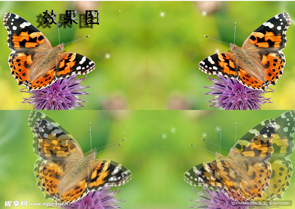 花朵上的蝴蝶微距特写梦幻视频