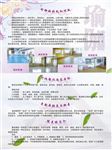 瑜伽传单