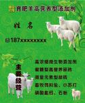 育肥羊高营养型添加剂名片