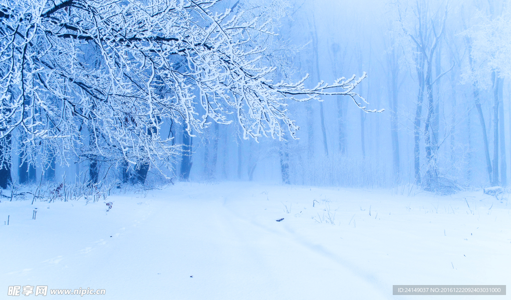 雪