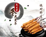 冬虫夏草