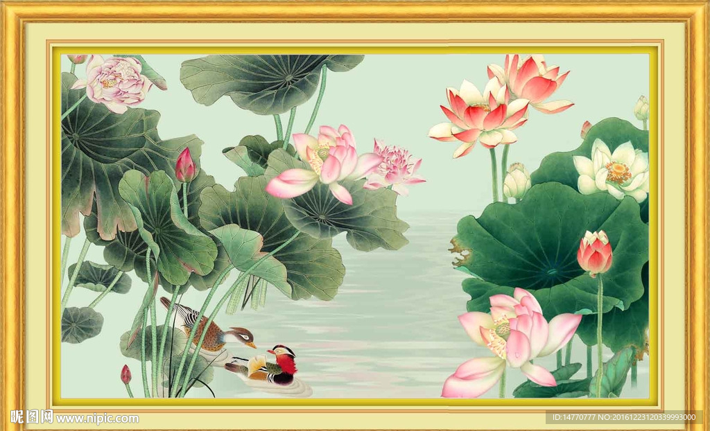 荷花图
