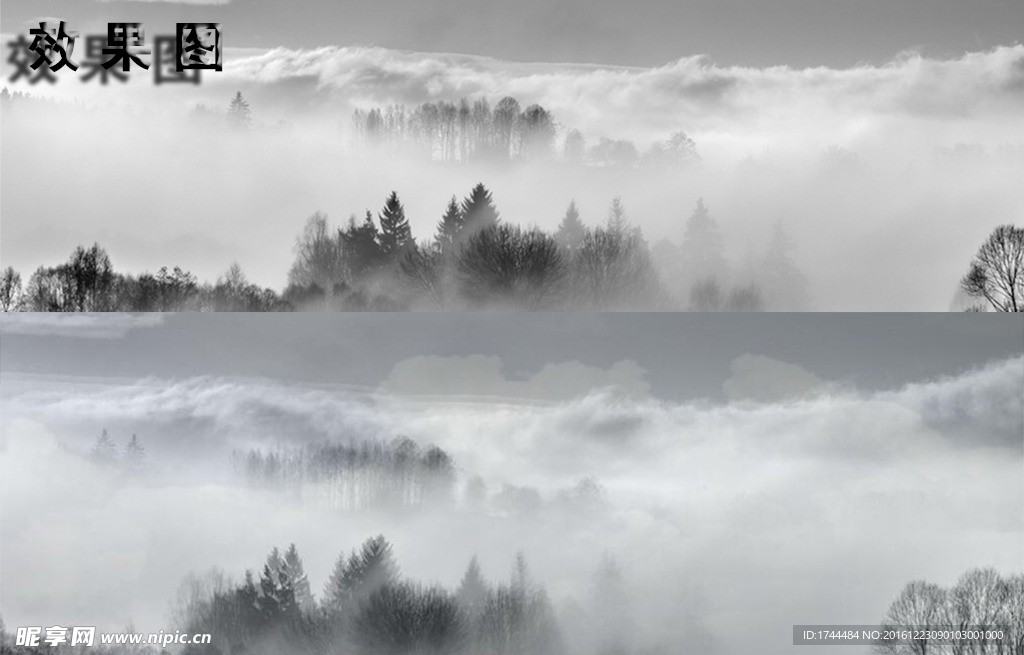 气势磅礴的树木云雾高清视频图片