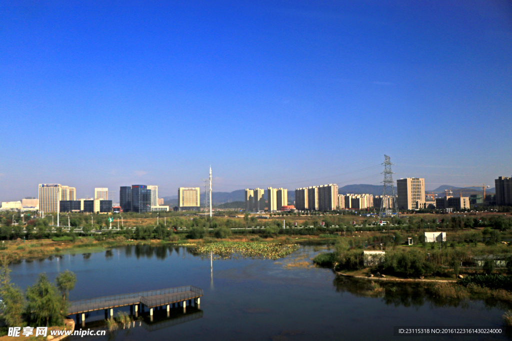 城市湿地