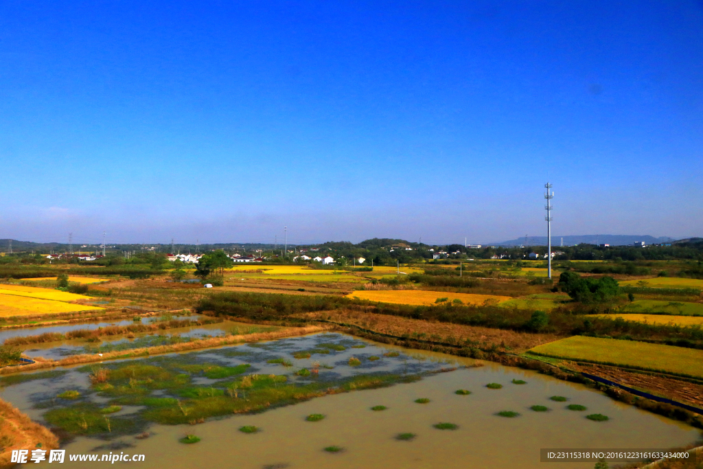 田园风光 湿地