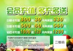水果会员充值