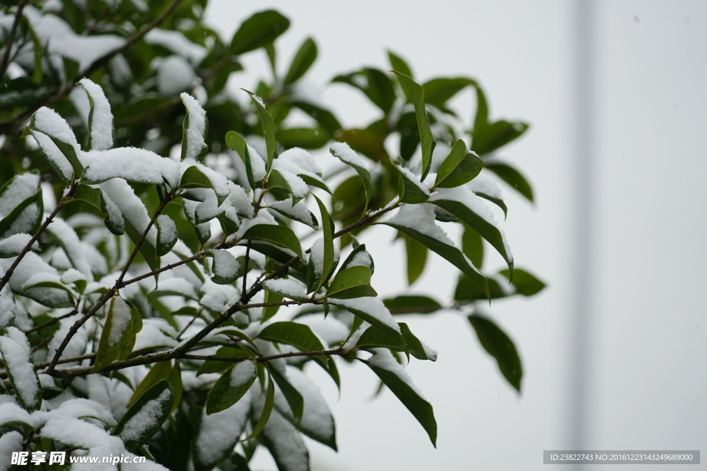一点积雪