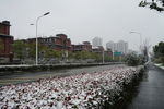 路边积雪