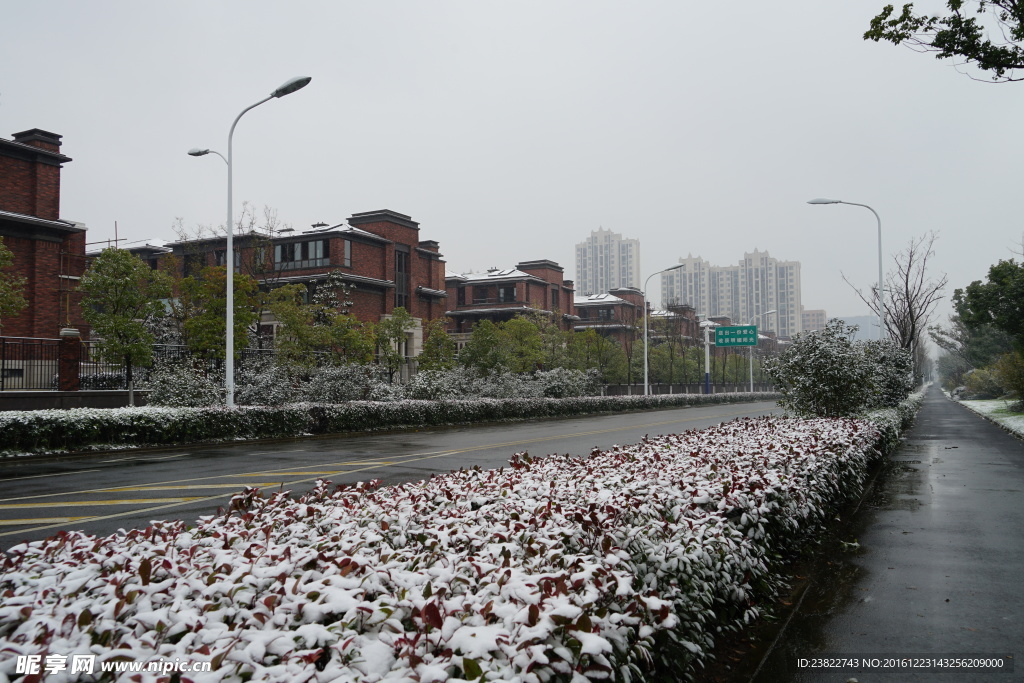 路边积雪