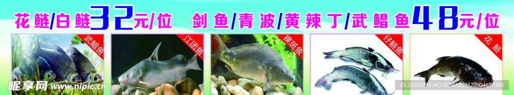 河鲜馆鱼海报